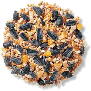 Backyard Basics Wild Bird Seed, 5-lb bag