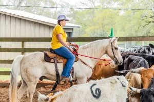 Fall 2025 Retreat #13 (Cattle Retreat) 11/18/2025 - 11/22/2025