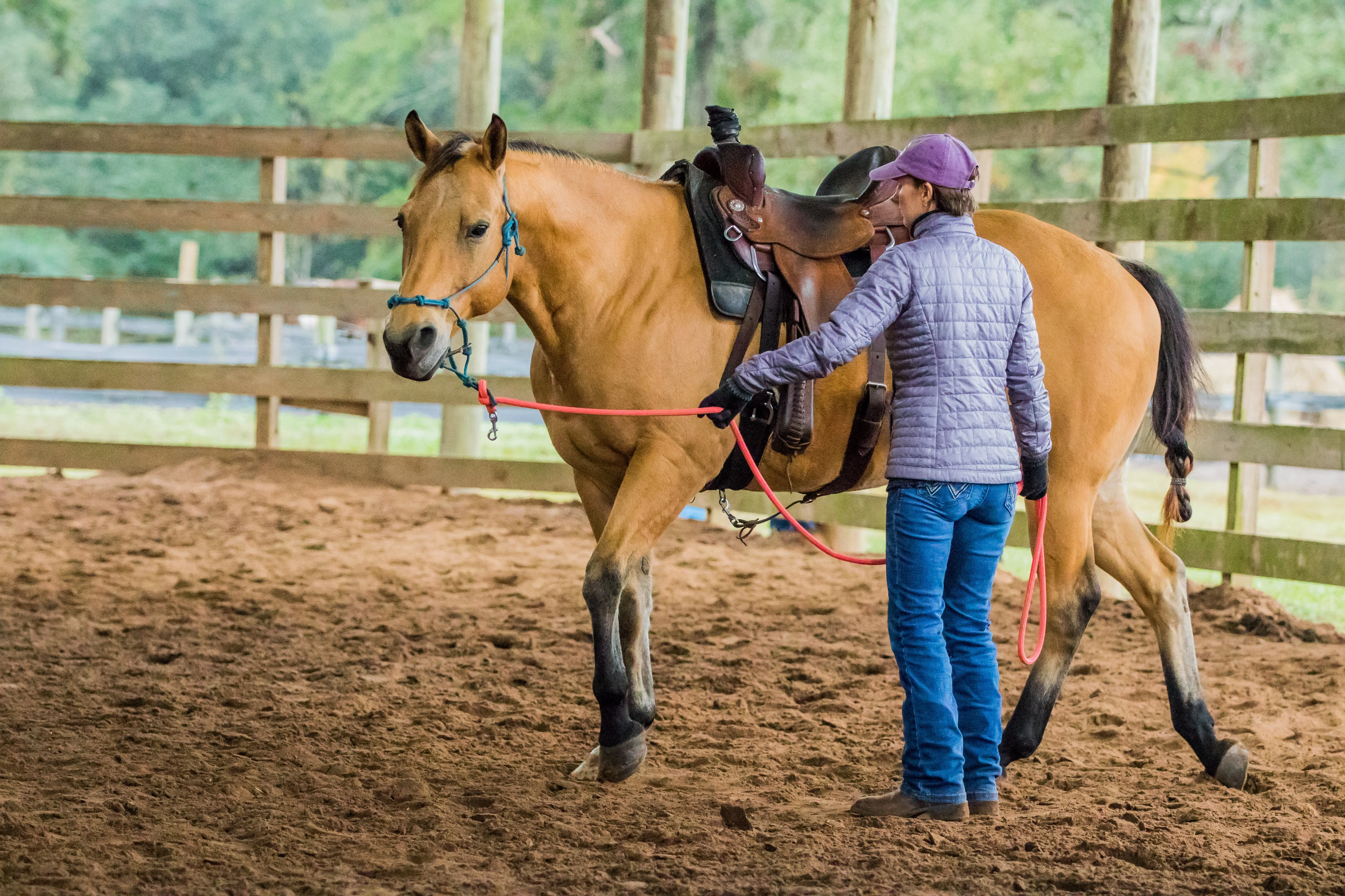 Fall 2025 Retreat #9 (Advanced Gaited Retreat) 9/23/2025 - 9/27/2025