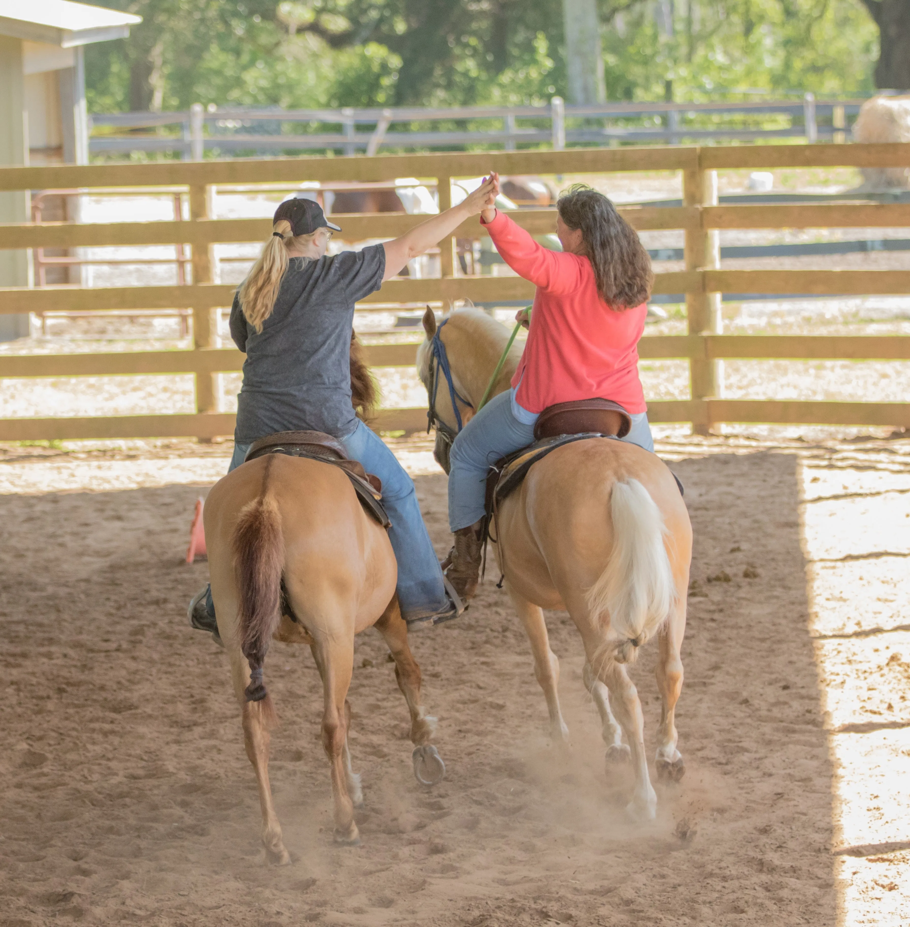 Fall 2025 Retreat #9 (Advanced Gaited Retreat) 9/23/2025 - 9/27/2025