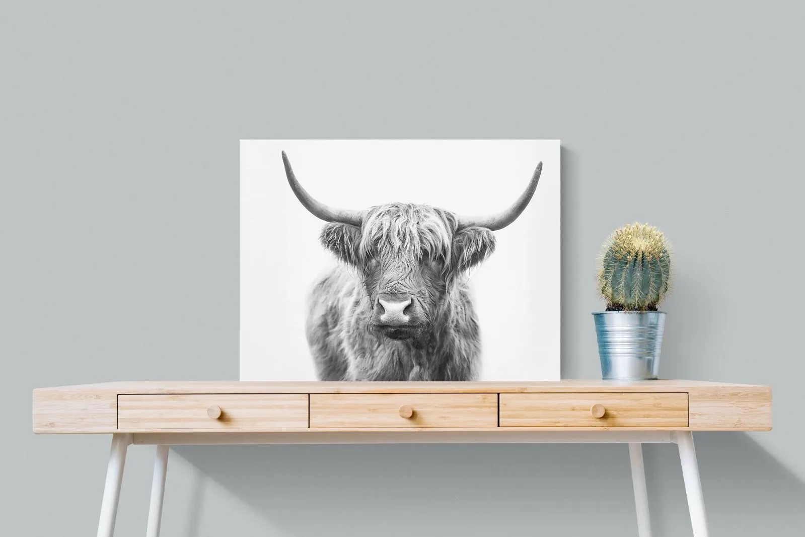 Highland Bull