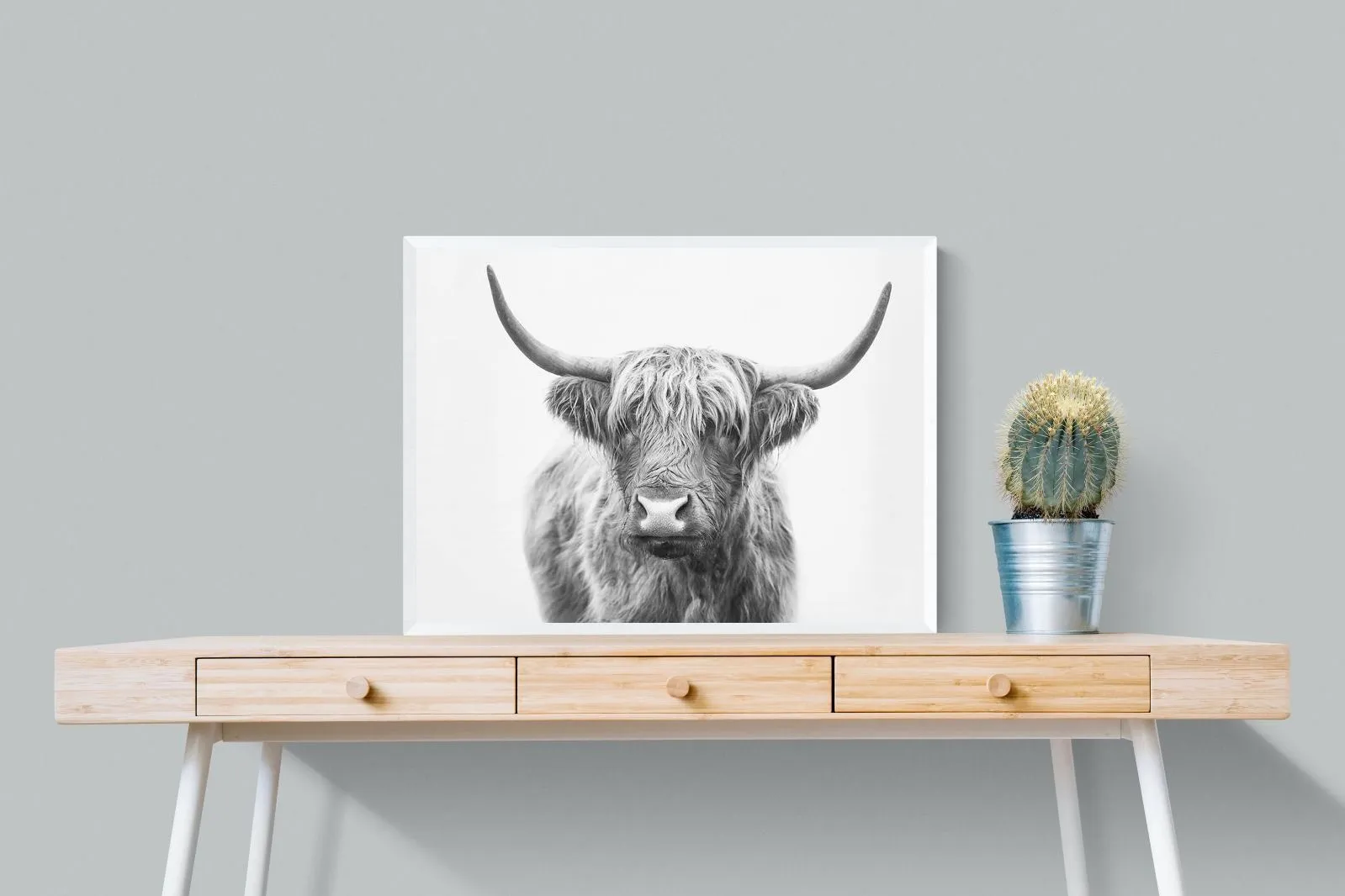 Highland Bull