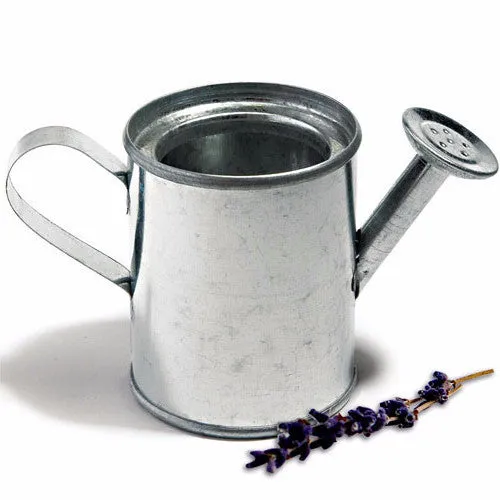 Mini Watering Can Wedding Party Favor (Pack of 12)