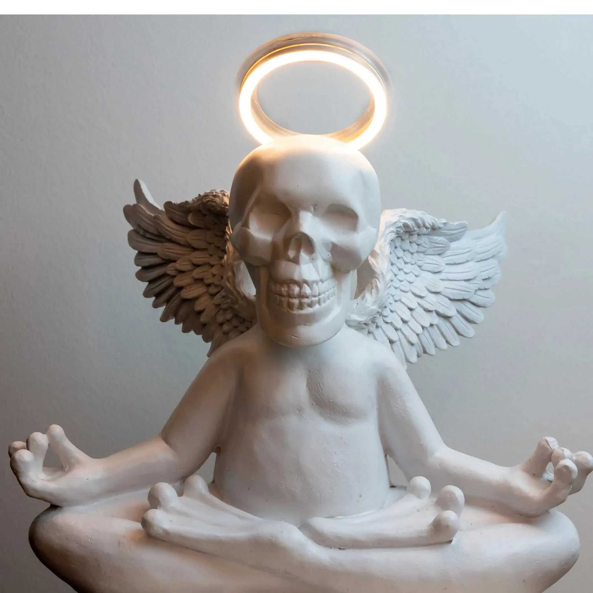 Skull in the Meditation