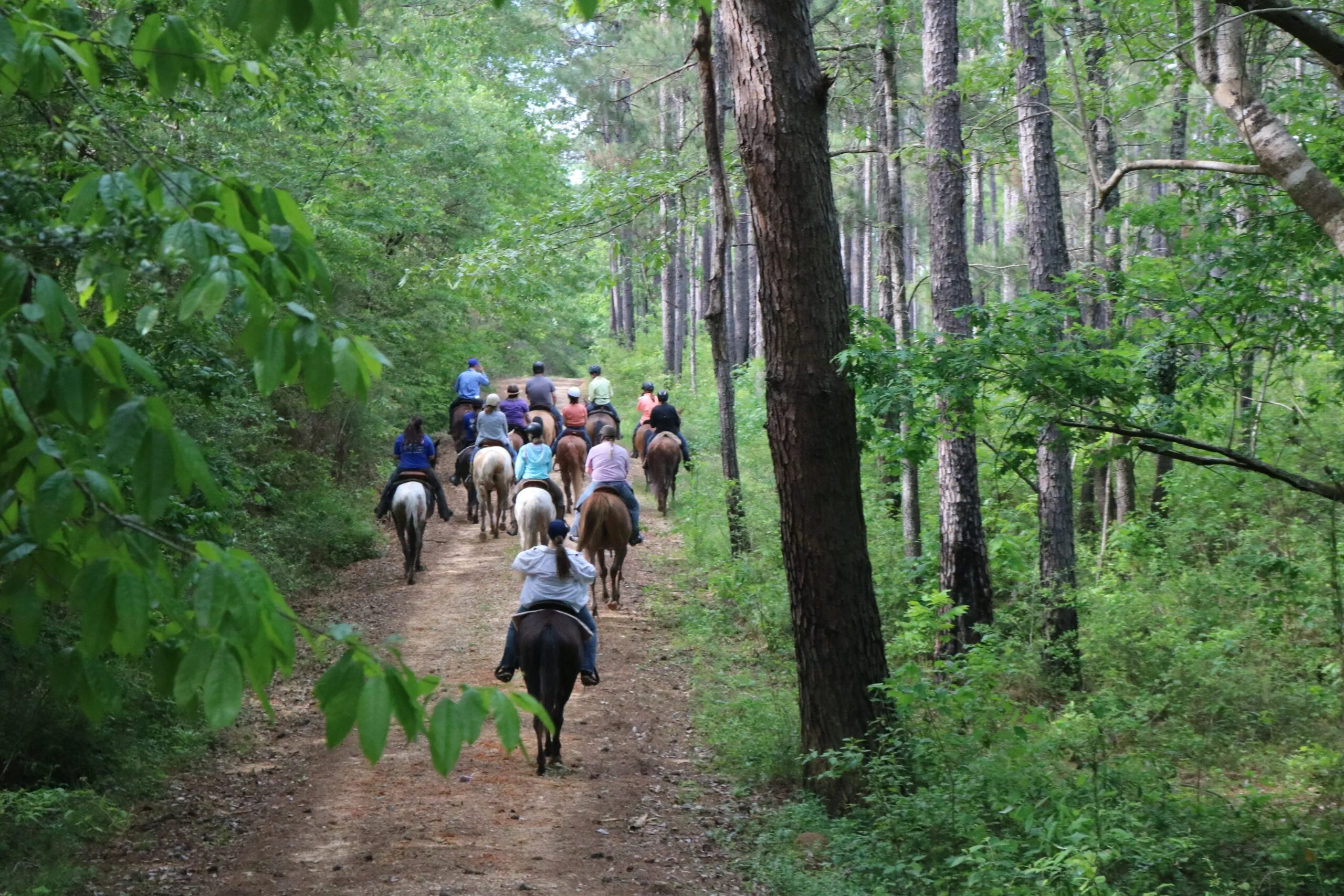 Spring 2023 Retreat #7 (Gaited Retreat) 6/13/2023 - 6/17/2023