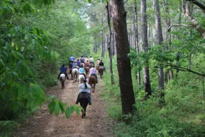 Spring 2025 Retreat #8 (Gaited Retreat) 5/20/2025 - 5/24/2025