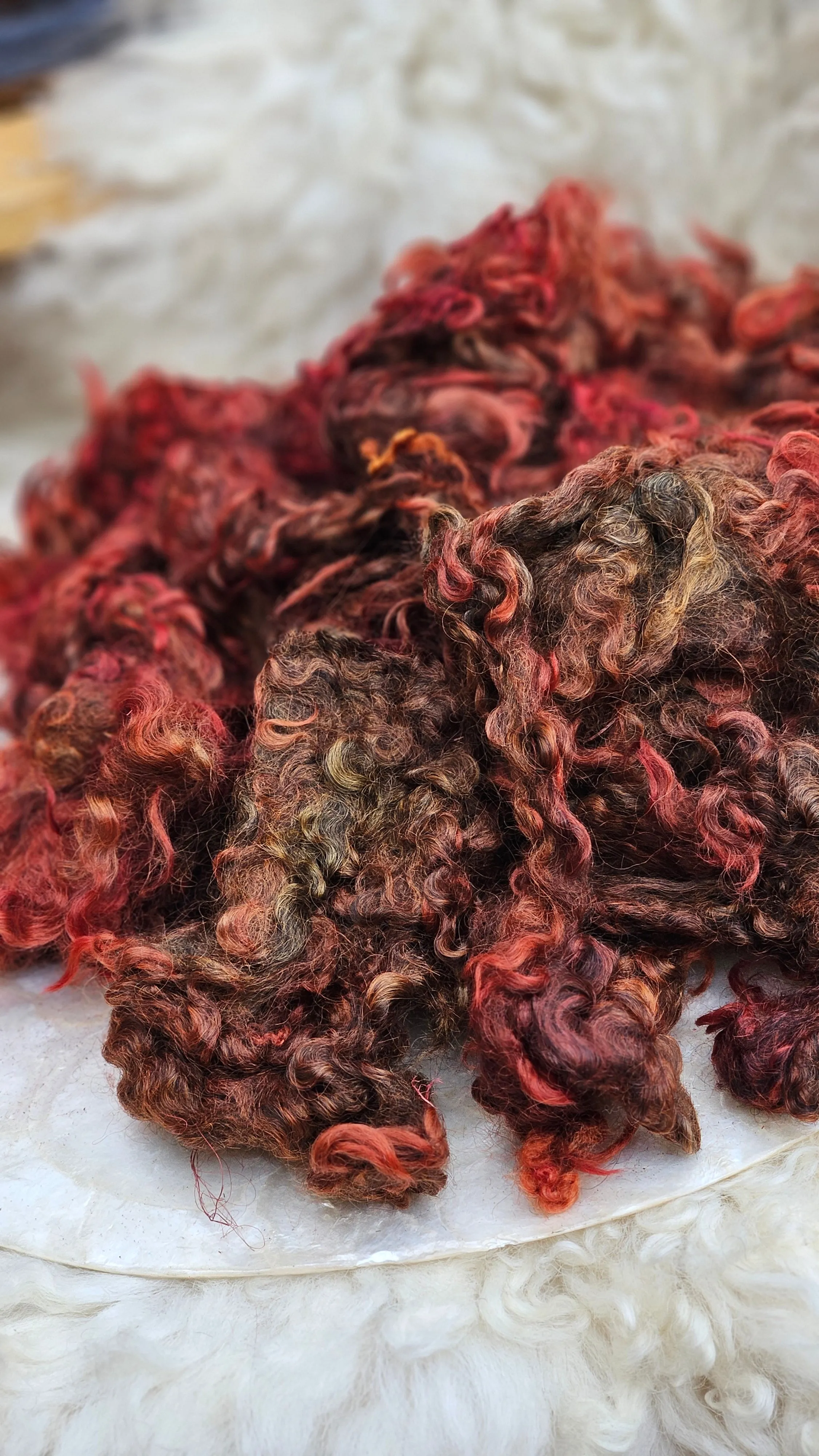 TOLSTOY Dyed Cotswold Lamb Locks - 5 ounces