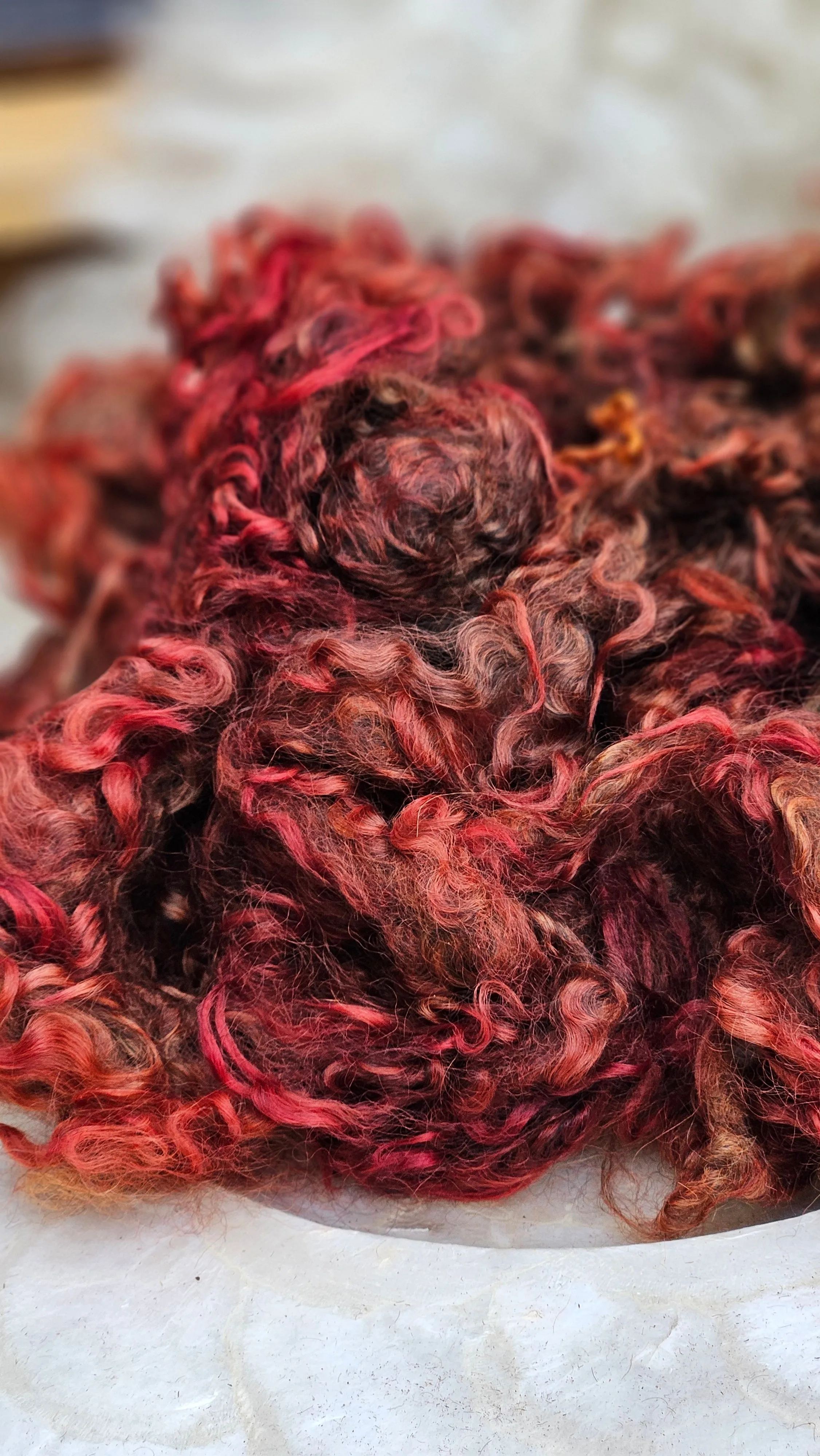 TOLSTOY Dyed Cotswold Lamb Locks - 5 ounces